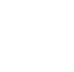 Electrofort Group SRL
